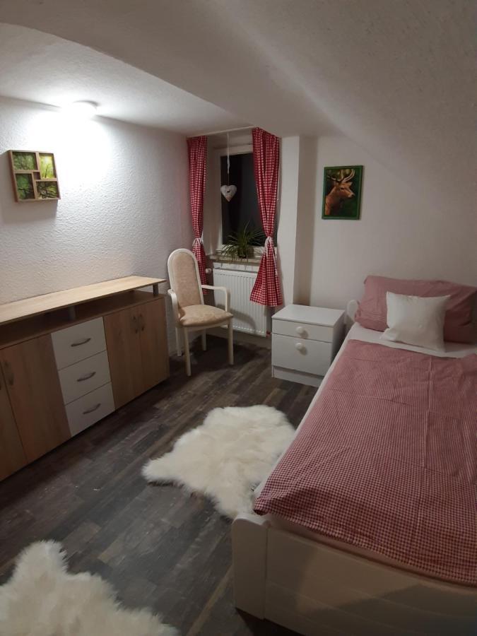 Pension Harzbikerharz Bad Lauterberg Kültér fotó